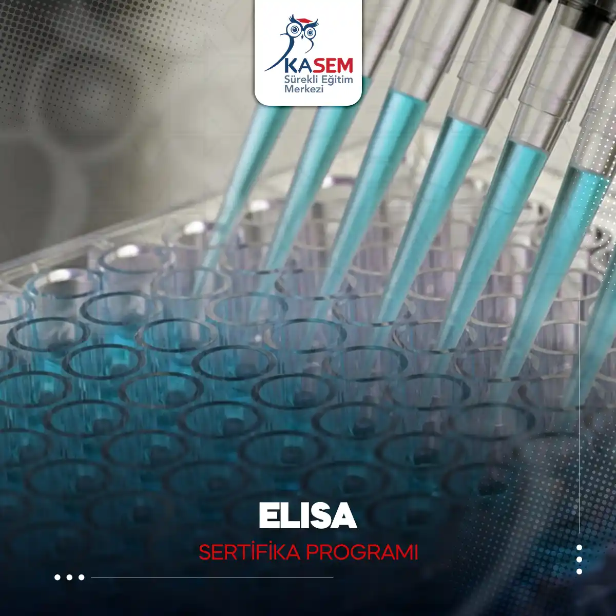 ELISA Sertifika Programı