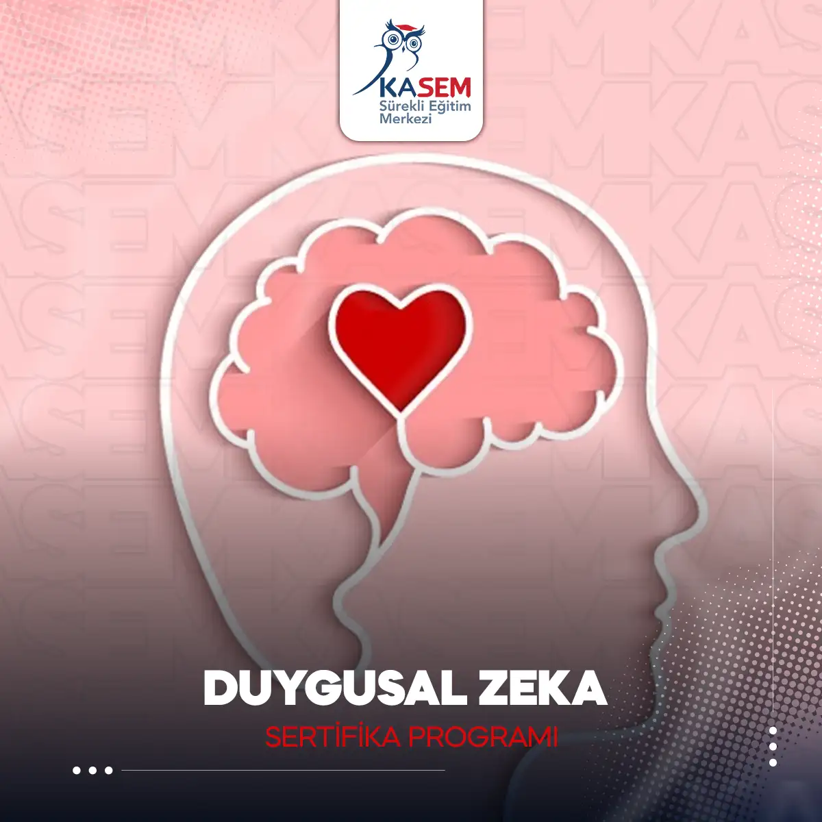 Duygusal Zeka Sertifika Programı