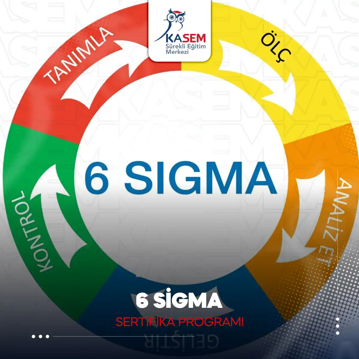 6 SİGMA Sertifika Programı