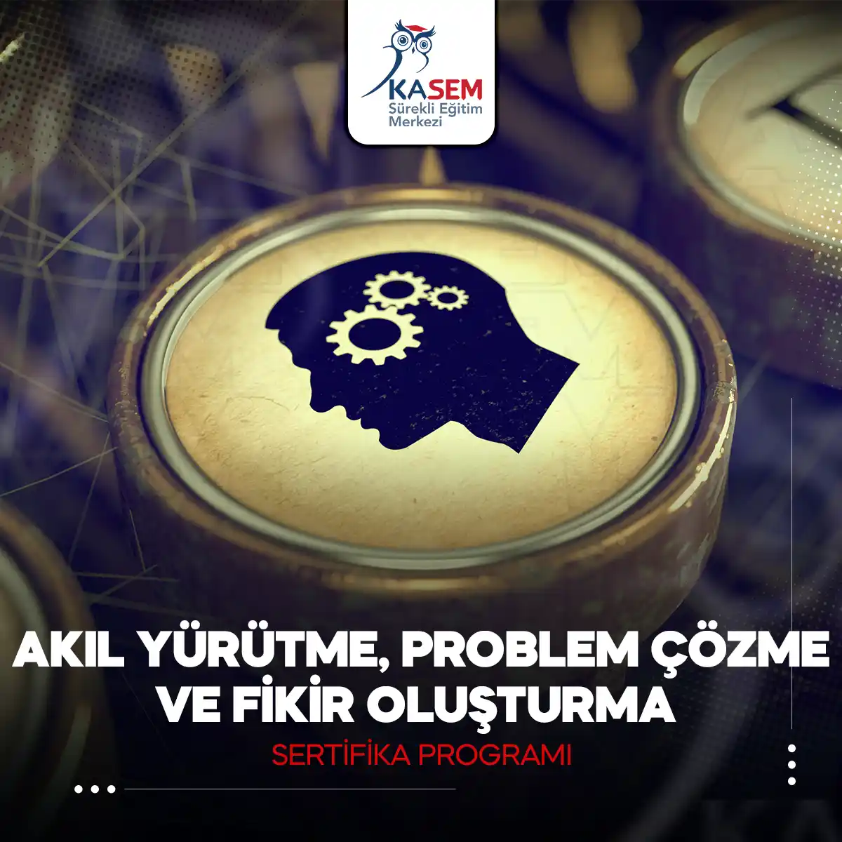 Akıl Yürütme, Problem Çözme ve Fikir Oluşturma Sertifika Programı