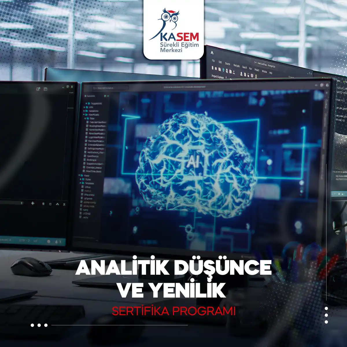 Analitik Düşünce ve Yenilik Sertifika Programı