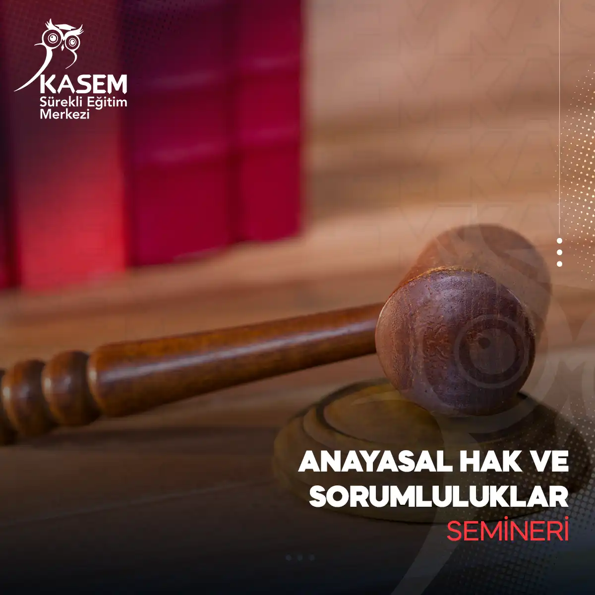 Anayasal Hak ve Sorumluluklar Semineri
