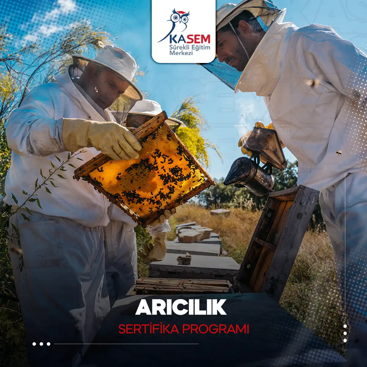 Arıcılık Sertifika Programı