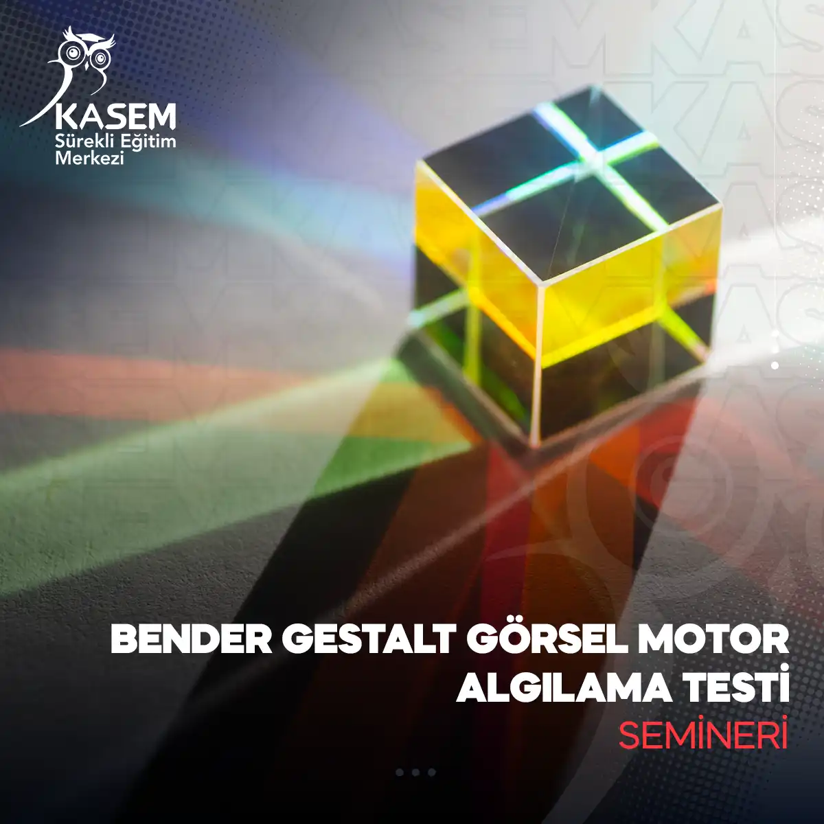 Bender-Gestalt Görsel Motor Algılama Testi Semineri
