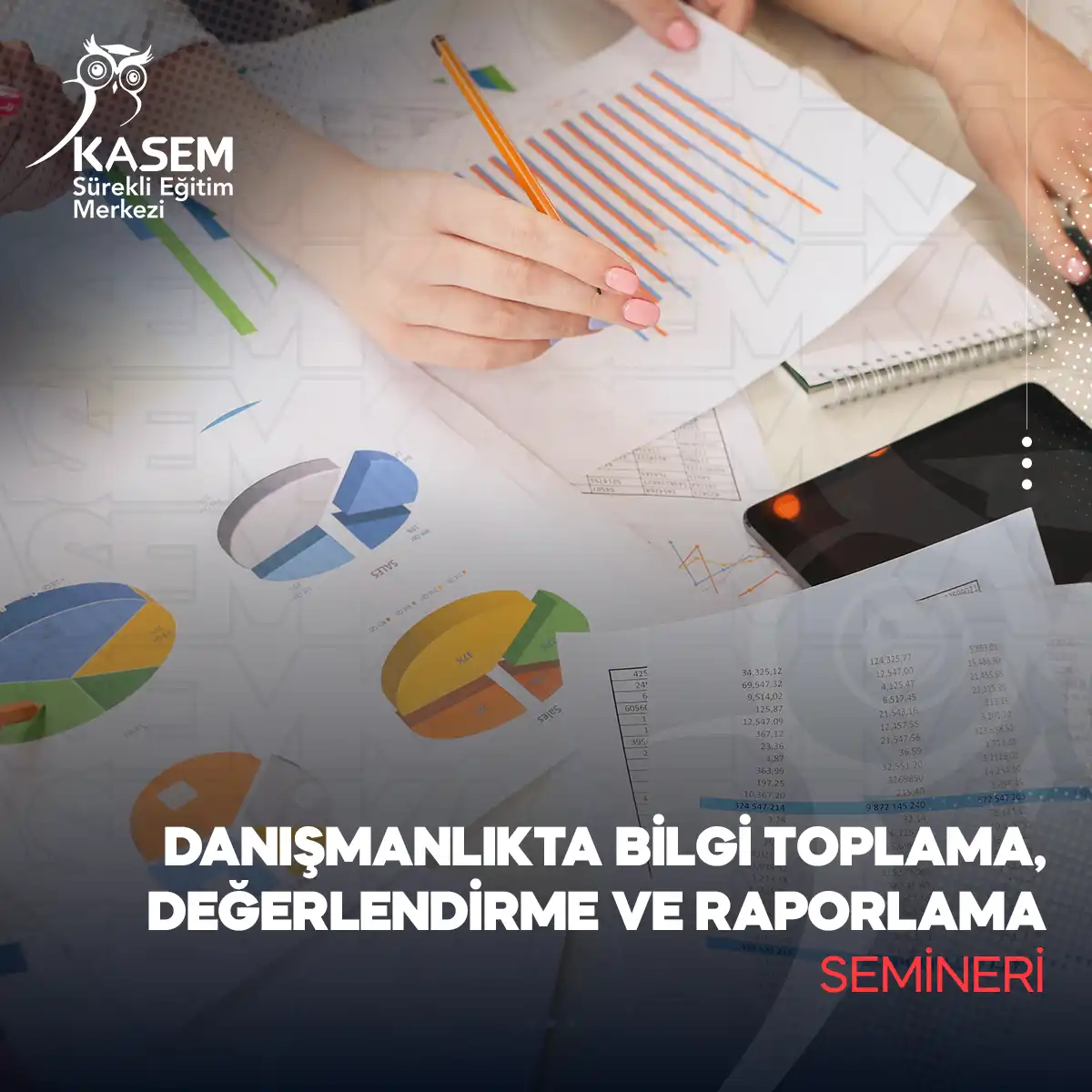 Danışmanlıkta Bilgi Toplama, Değerlendirme ve Raporlama Semineri