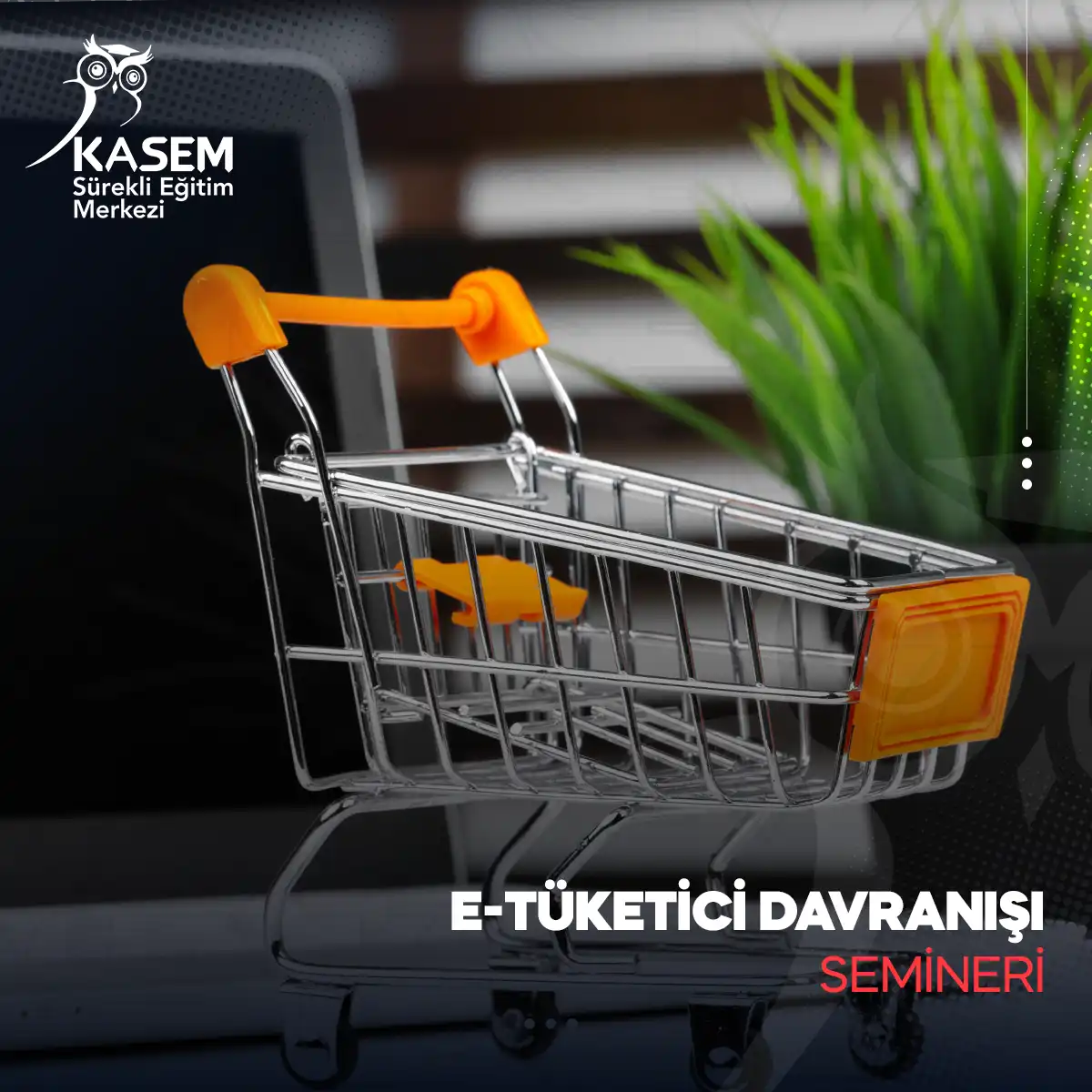 e-Tüketici Davranışı Semineri