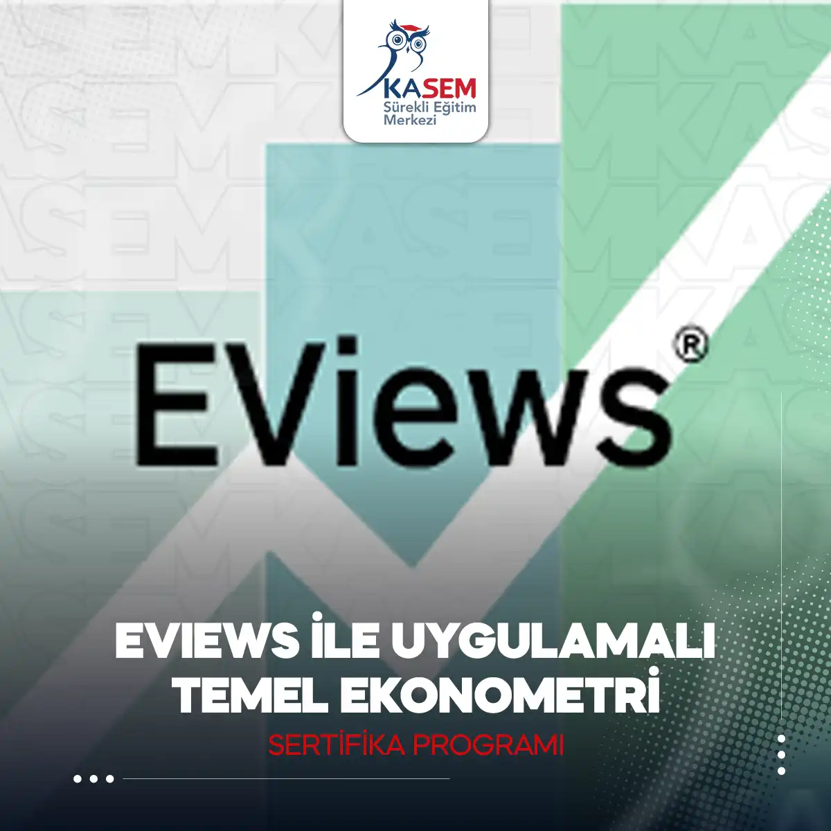 Eviews İle Uygulamalı Temel Ekonometri Sertifika Programı