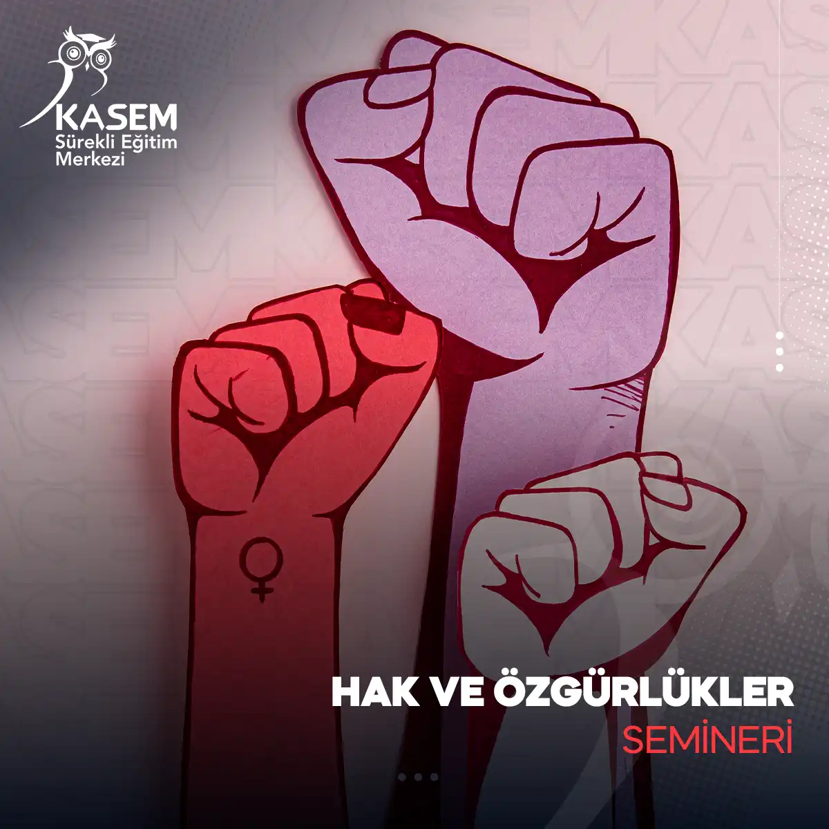 Hak ve Özgürlükler Semineri