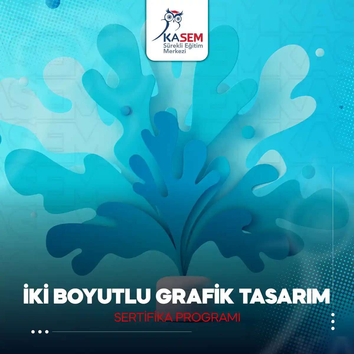 İki Boyutlu Grafik Tasarım Sertifika Programı