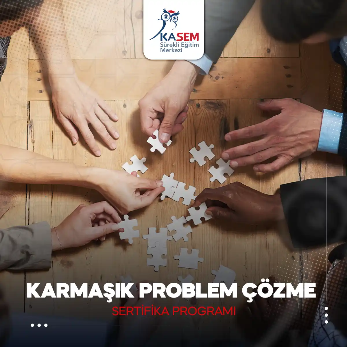Karmaşık Problem Çözme Sertifika Programı