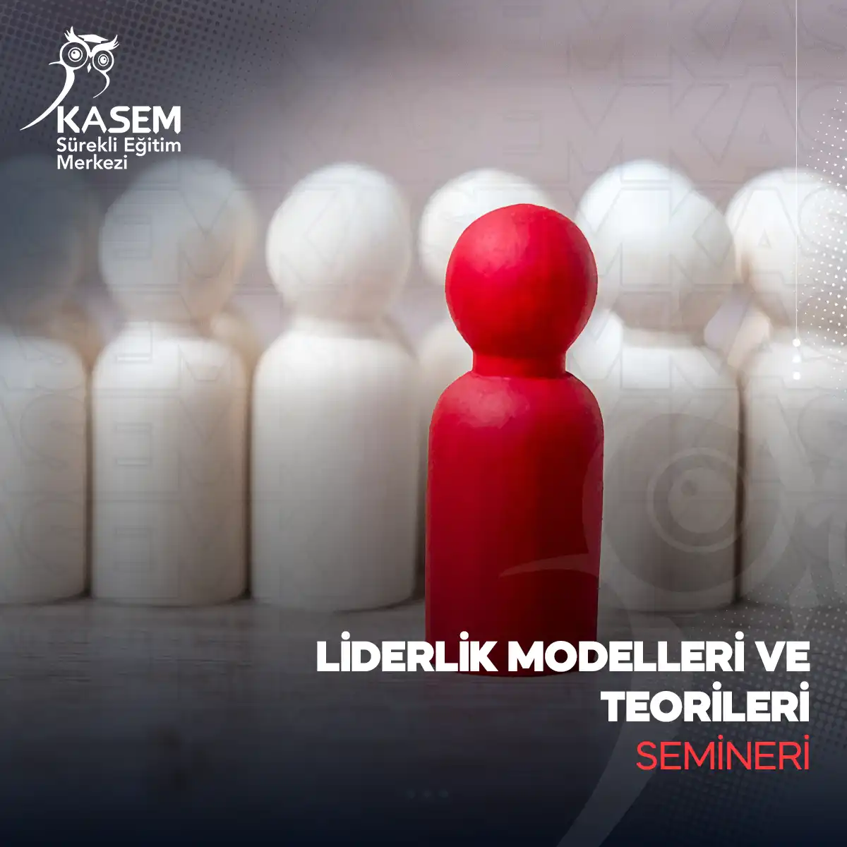 Liderlik Modelleri ve Teorileri Semineri