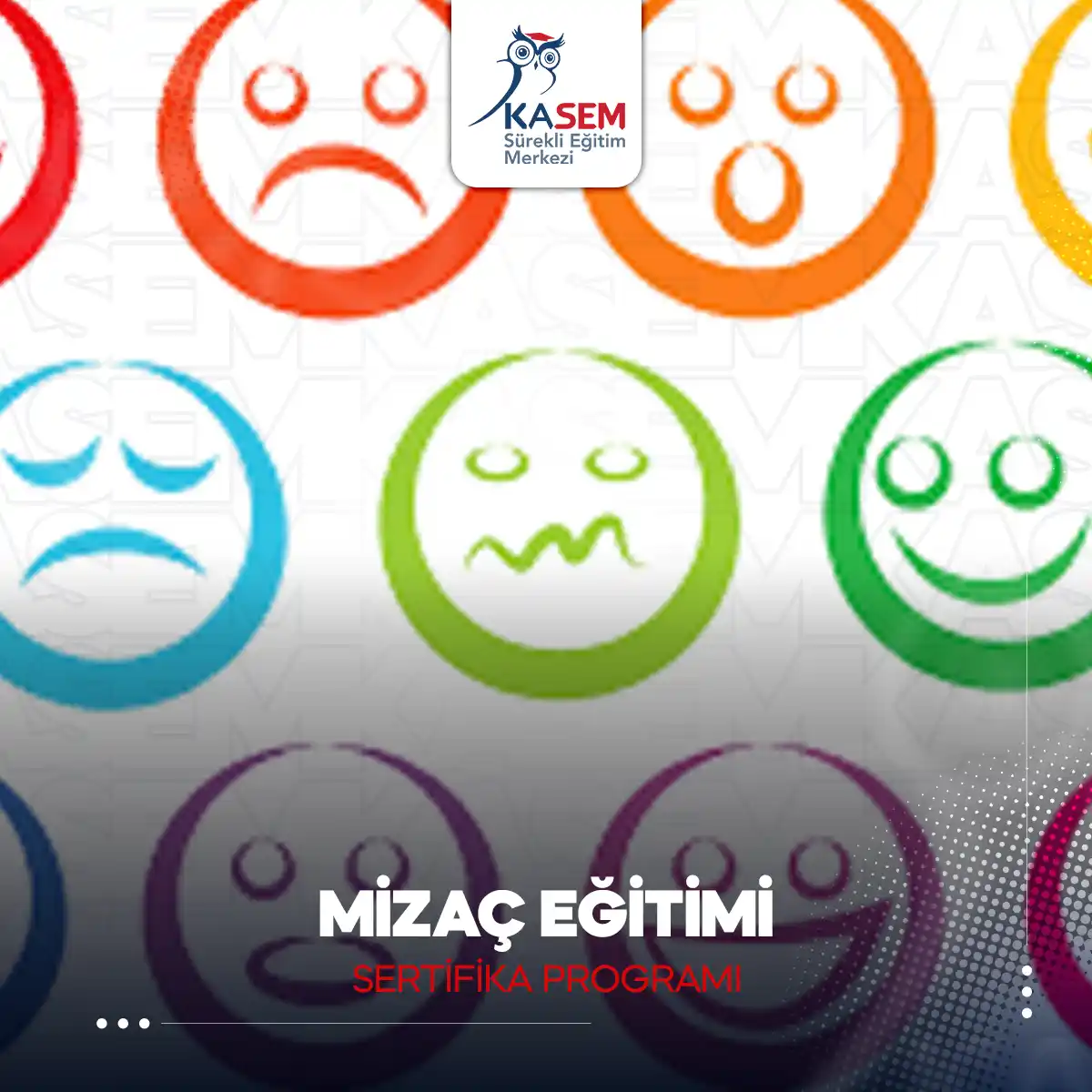 Mizaç Eğitimi Sertifika Programı