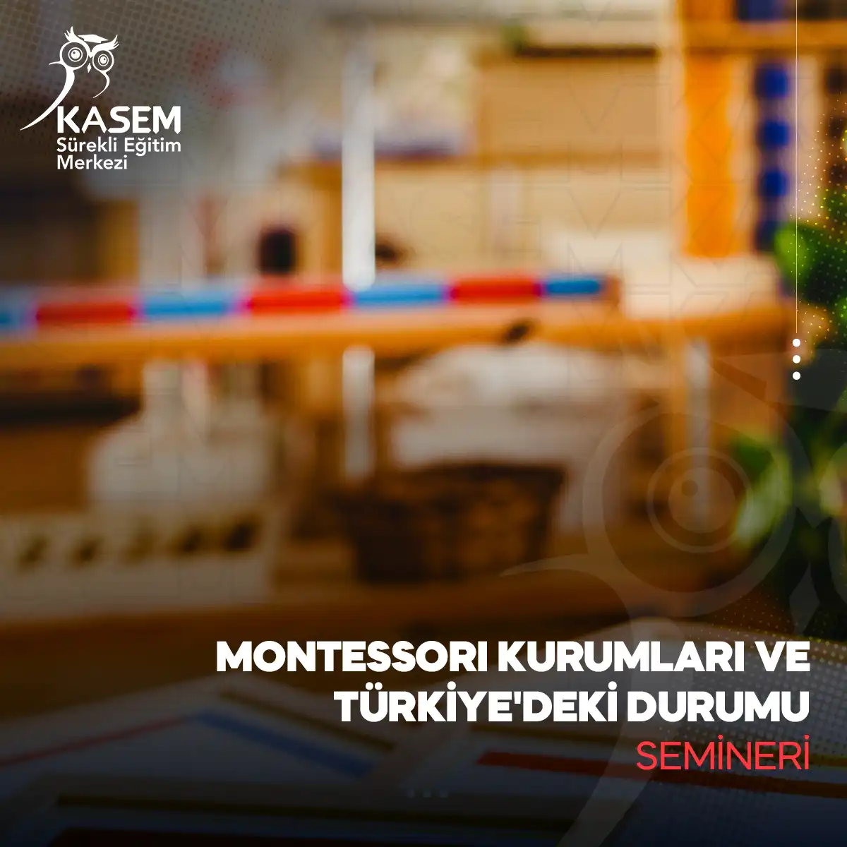 Montessori Kurumları ve Türkiye'deki Durumu Semineri