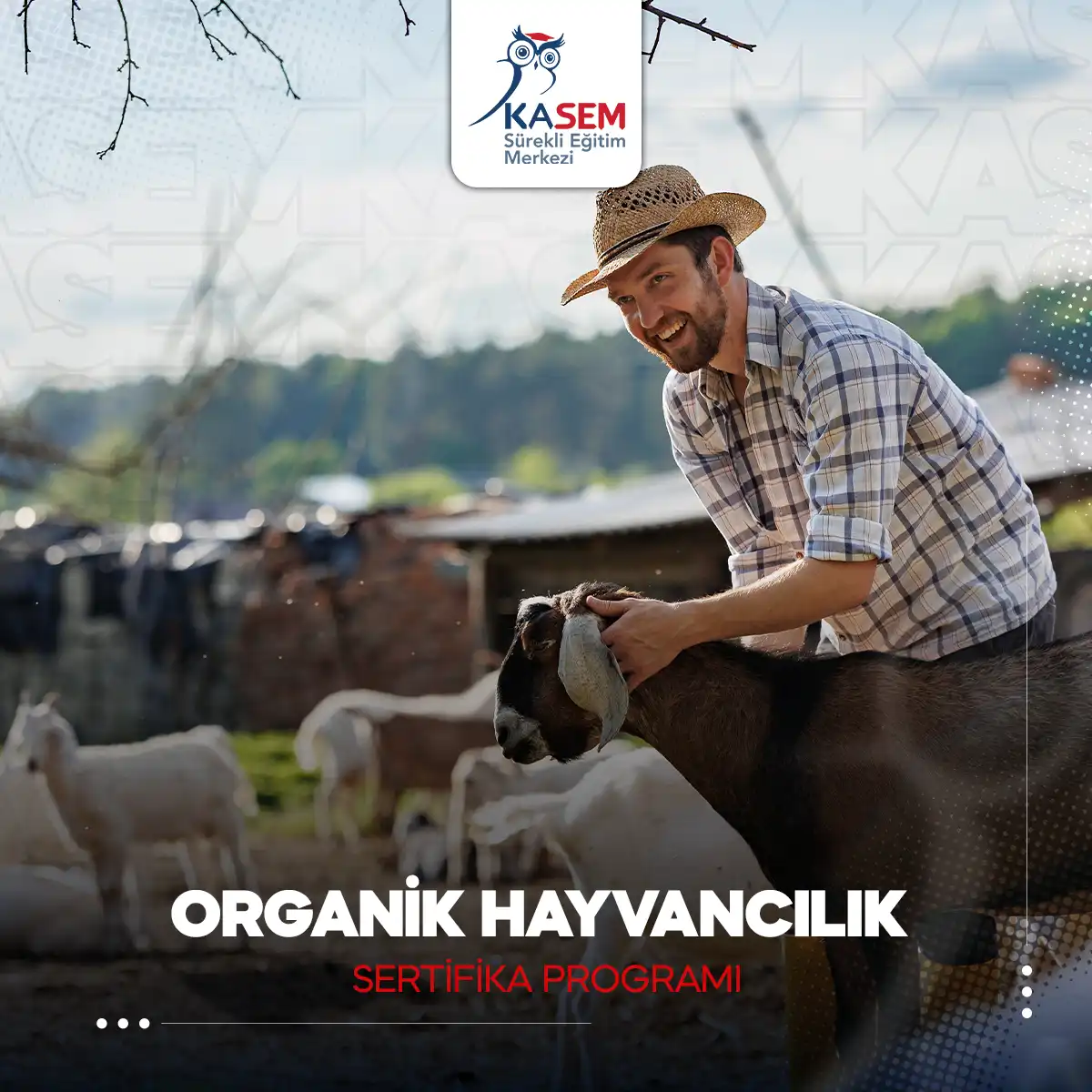 Organik Hayvancılık Sertifika Programı