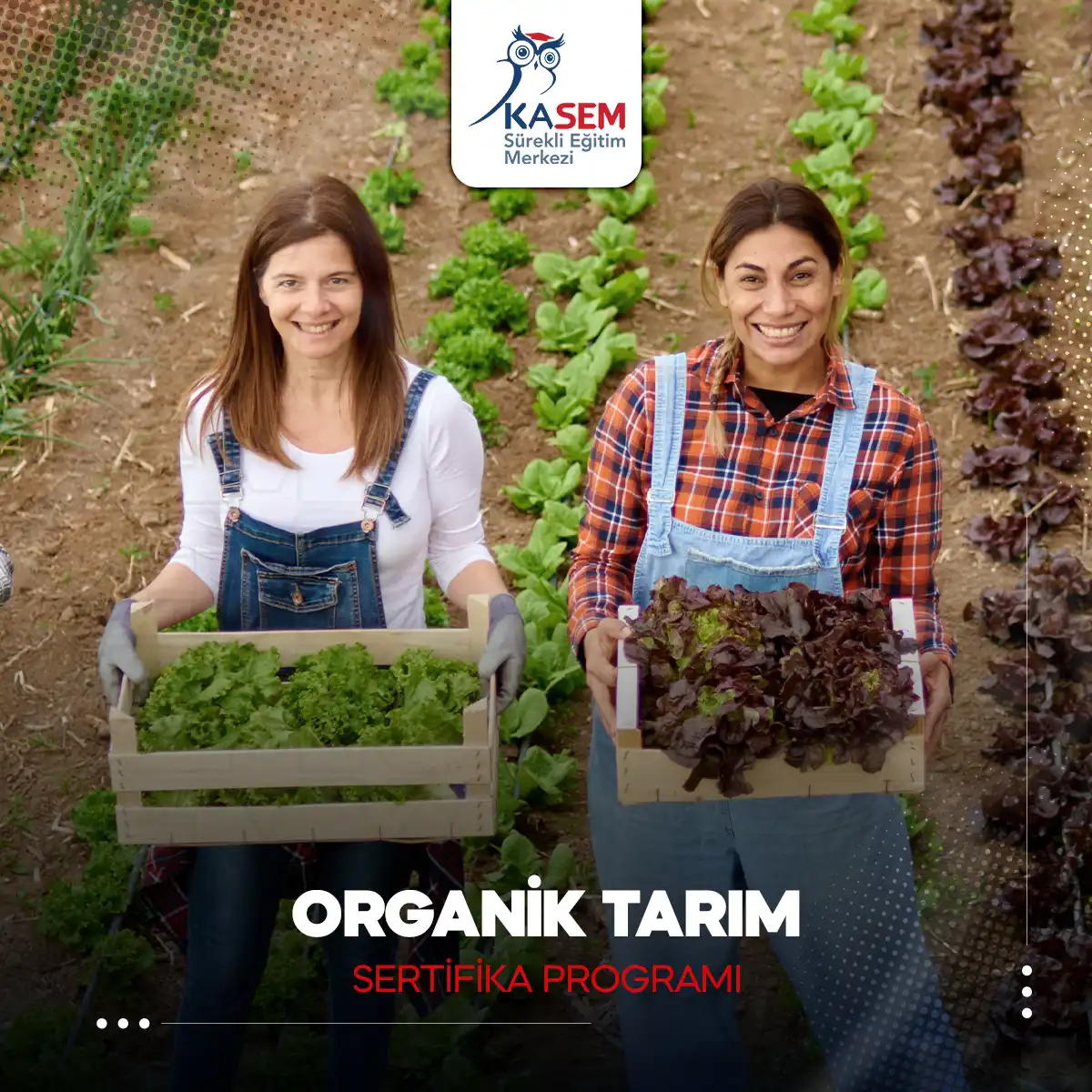Organik Tarım Sertifika Programı