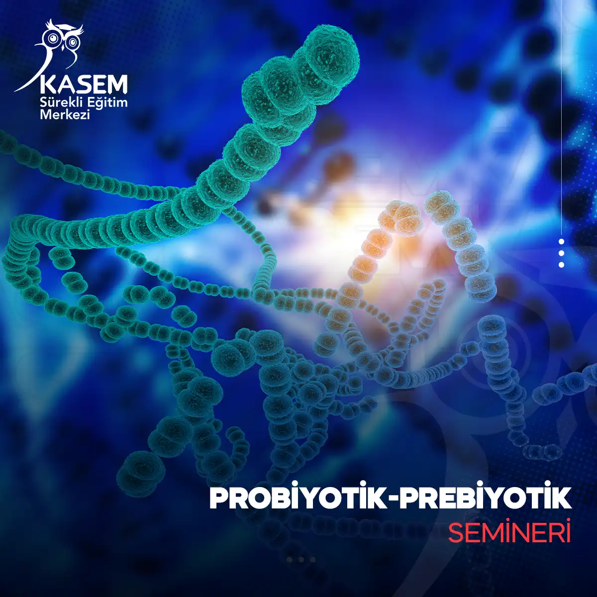 Probiyotik-Prebiyotik Semineri