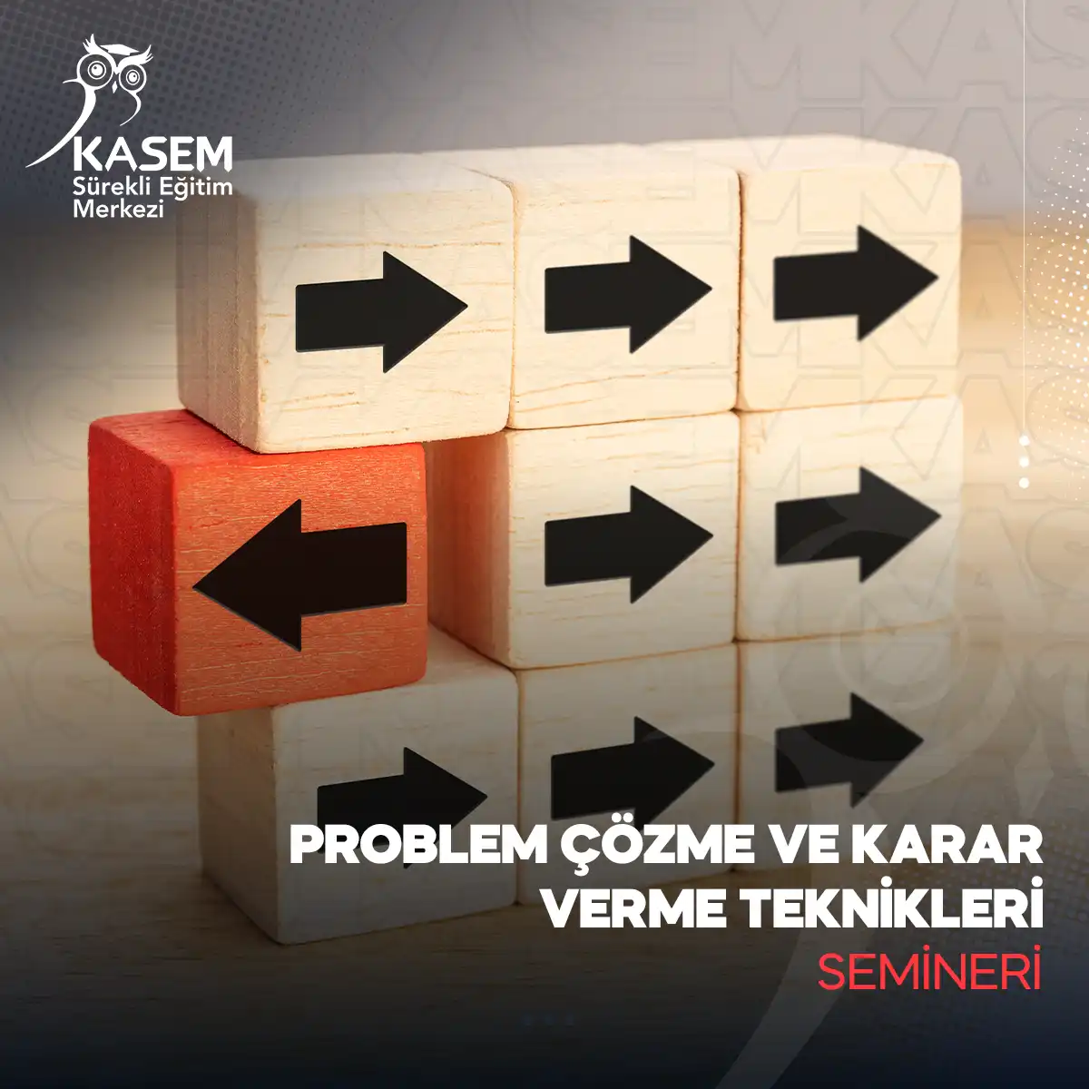 Problem Çözme Ve Karar Verme Teknikleri Semineri