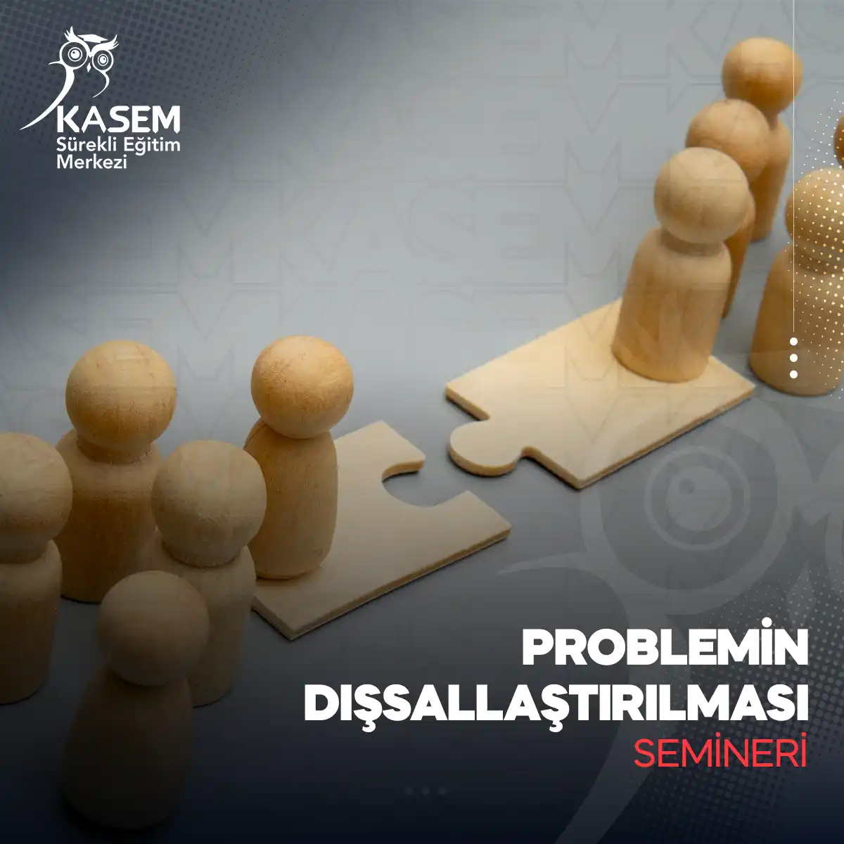 Problemin Dışsallaştırılması Semineri