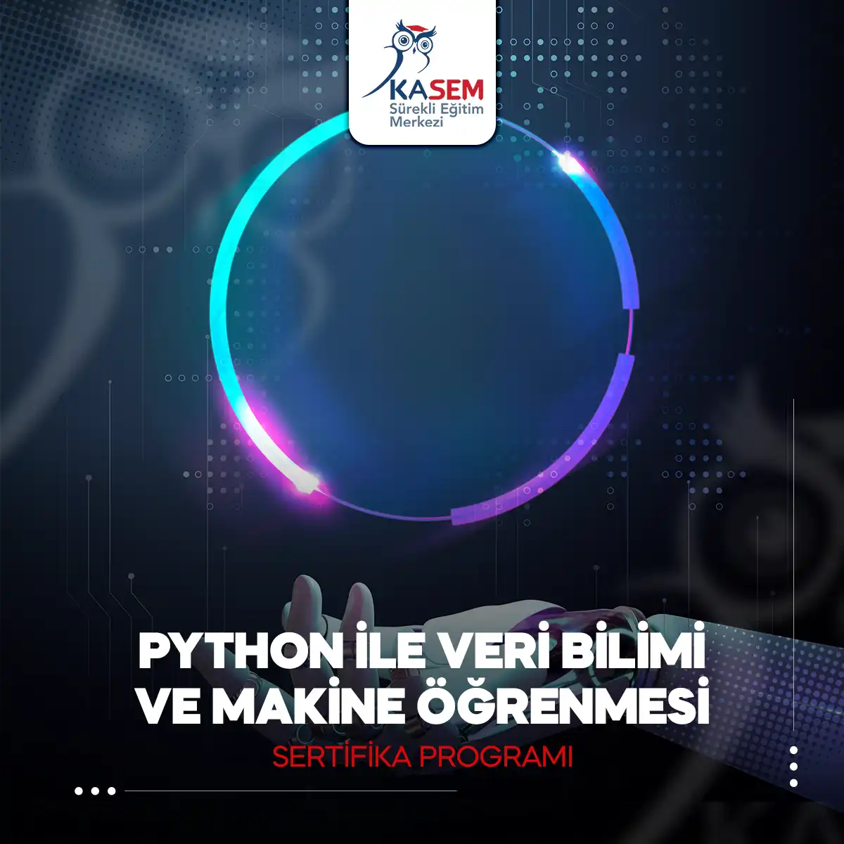 Python ile Veri Bilimi ve Makine Öğrenmesi Sertifika Programı