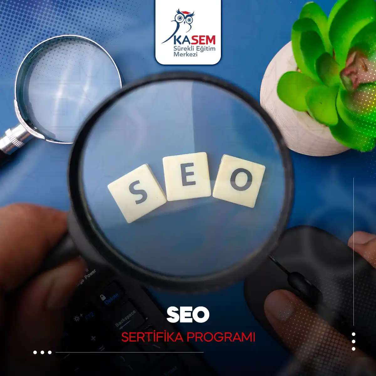 SEO Sertifika Programı