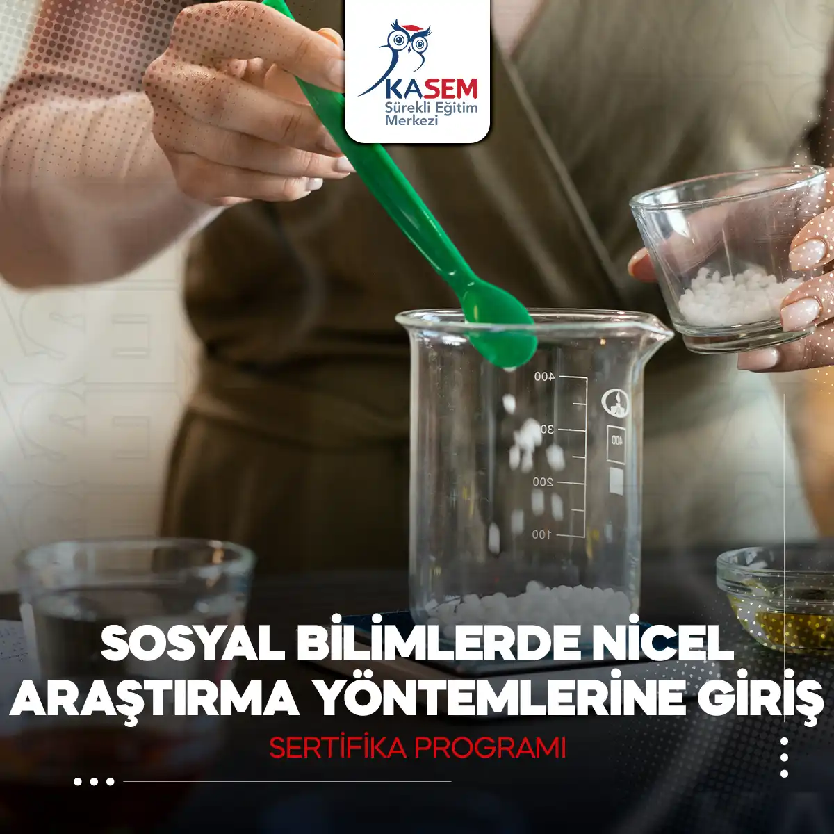 Sosyal Bilimlerde Nicel Araştırma Yöntemlerine Giriş Sertifika Programı