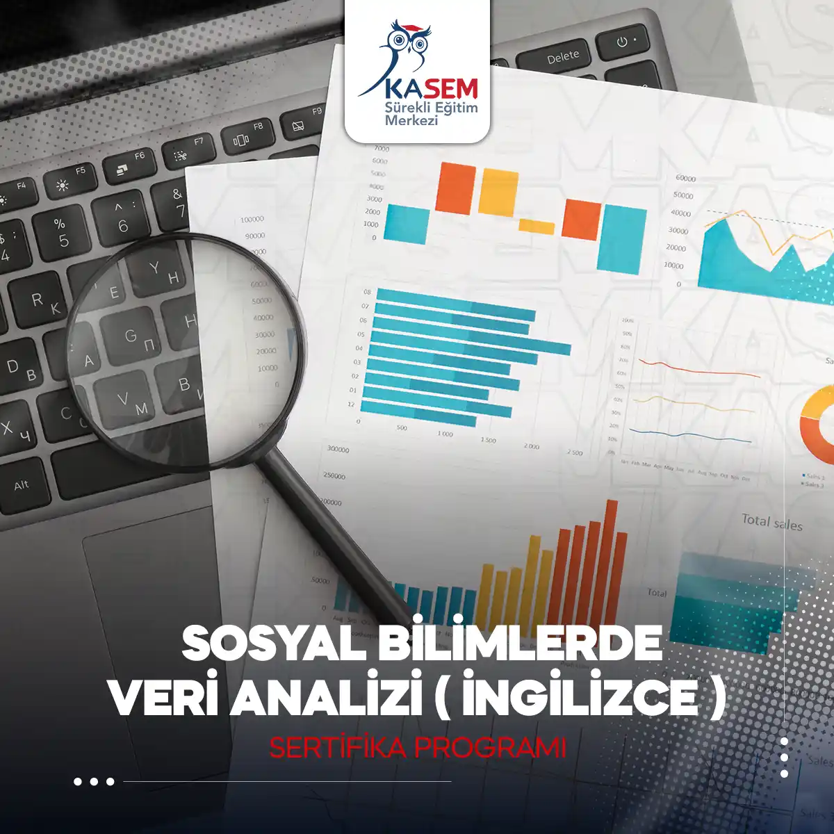 Sosyal Bilimlerde Veri Analizi Sertifika Programı - İngilizce