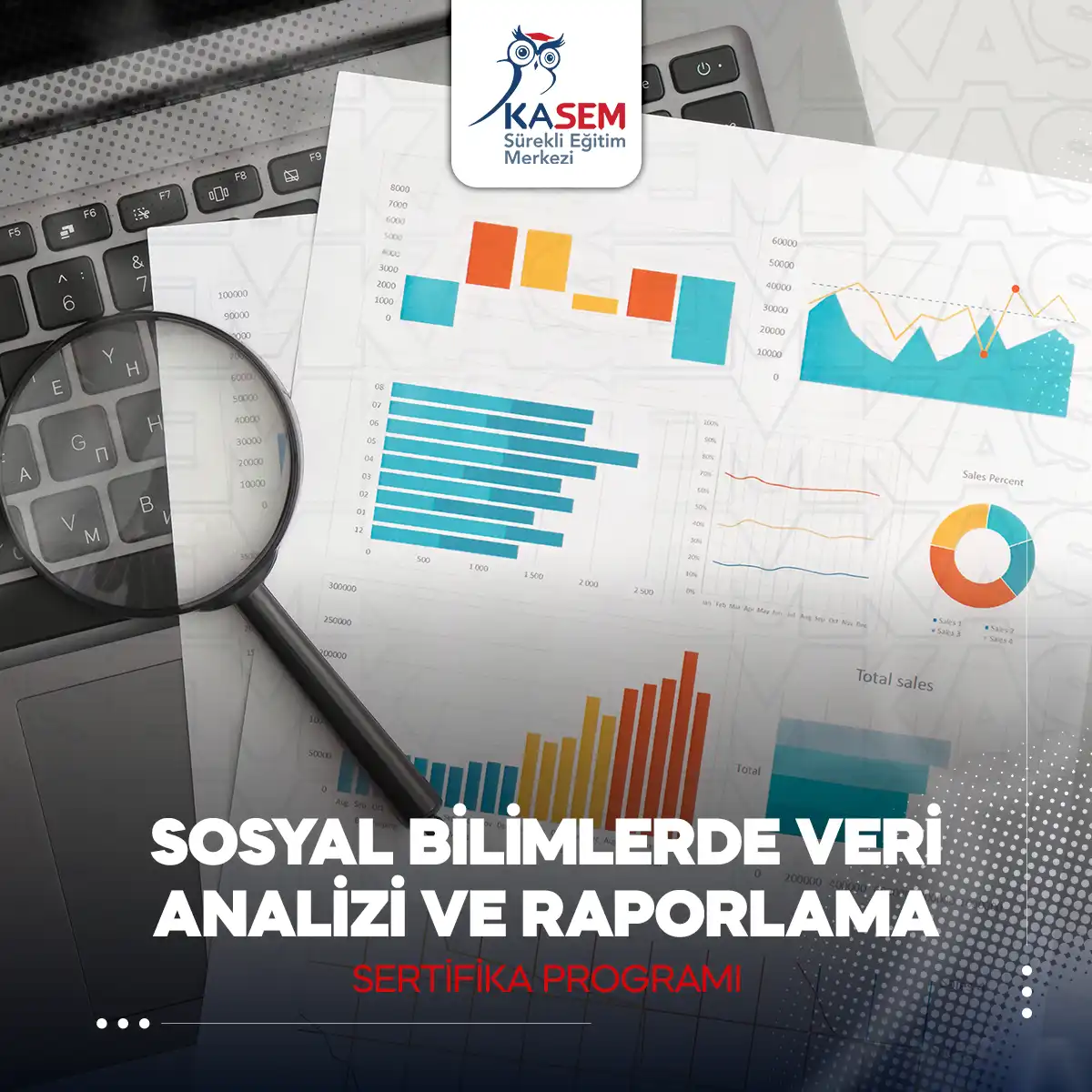 Sosyal Bilimlerde Veri Analizi ve Raporlama Sertifika Programı