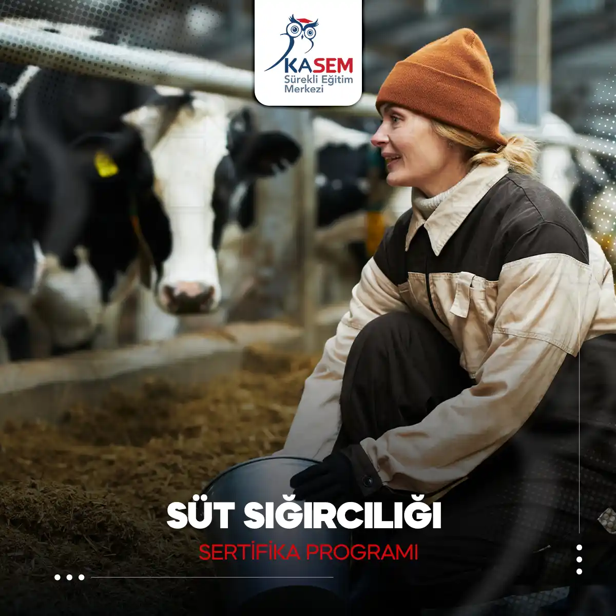 Süt Sığırcılığı Sertifika Programı