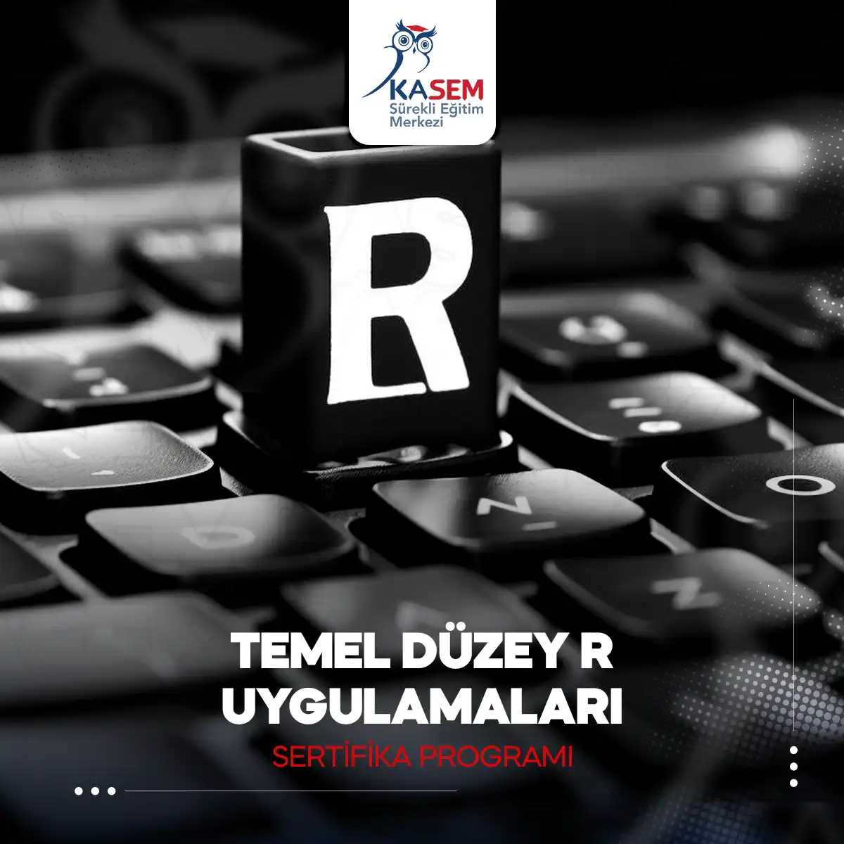 Temel Düzey R Uygulamaları Sertifika Programı
