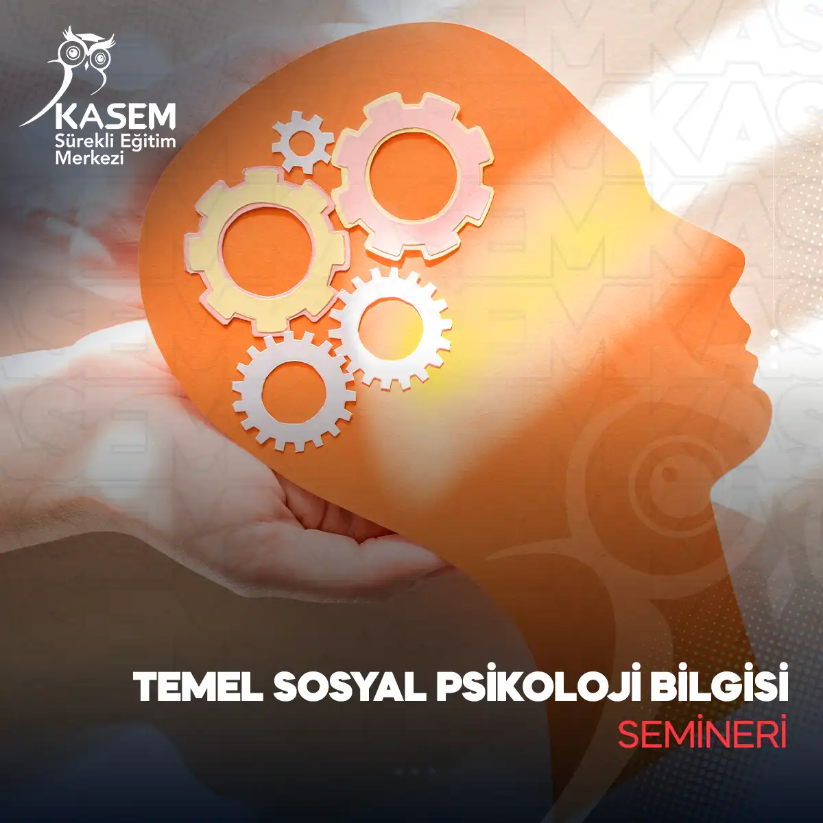 Temel Sosyal Psikoloji Bilgisi Semineri