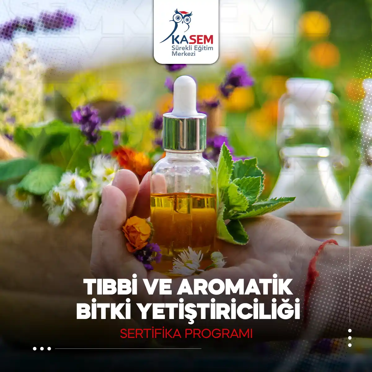 Tıbbi ve Aromatik Bitki Yetiştiriciliği Sertifika Programı
