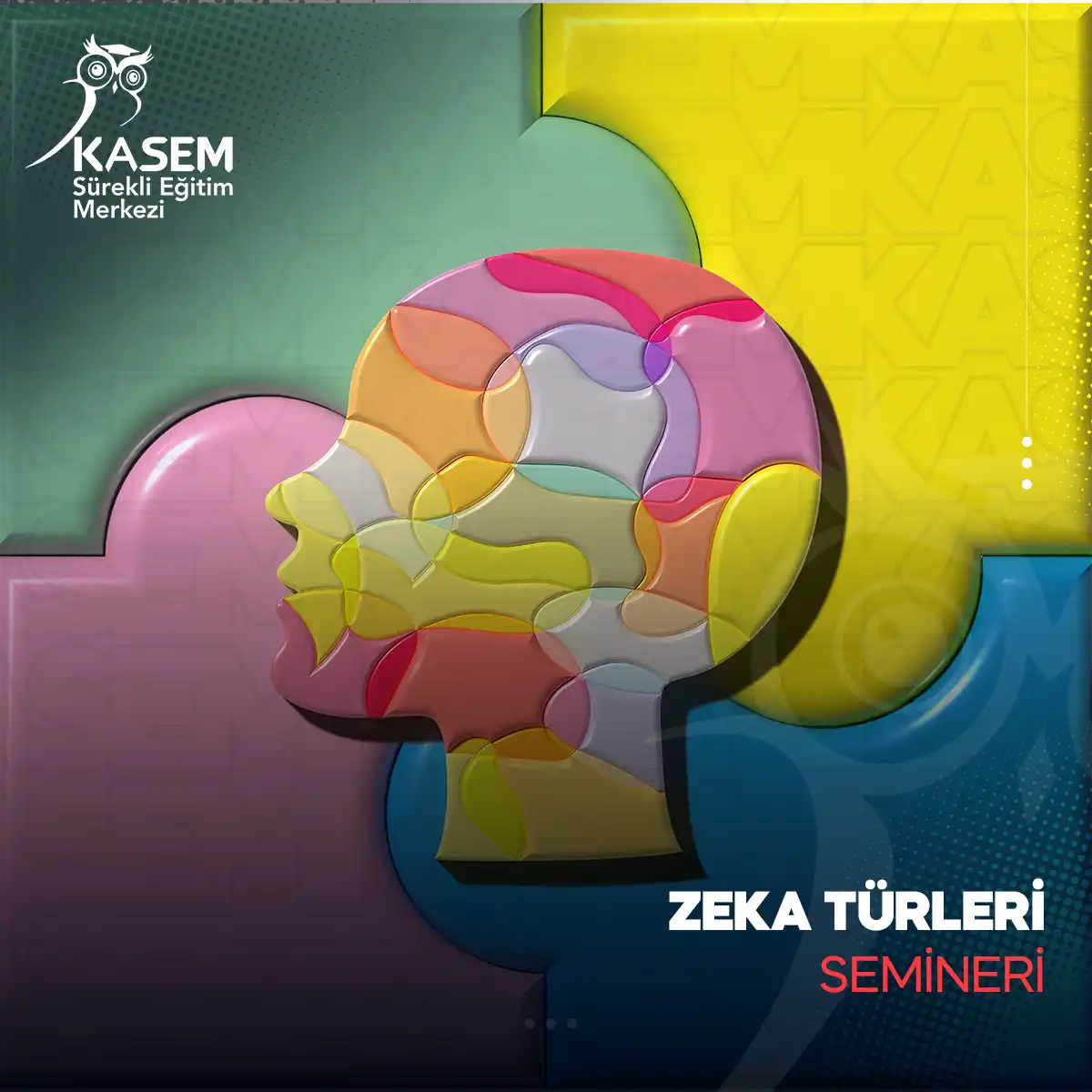 Zeka Türleri Semineri